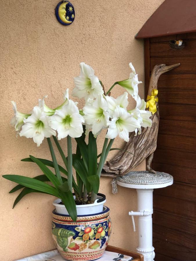 Bed and Breakfast Sensory Garden San Daniele del Friuli Zewnętrze zdjęcie