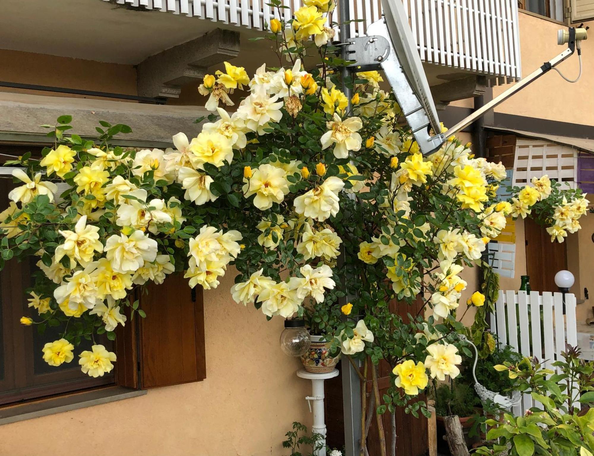 Bed and Breakfast Sensory Garden San Daniele del Friuli Zewnętrze zdjęcie