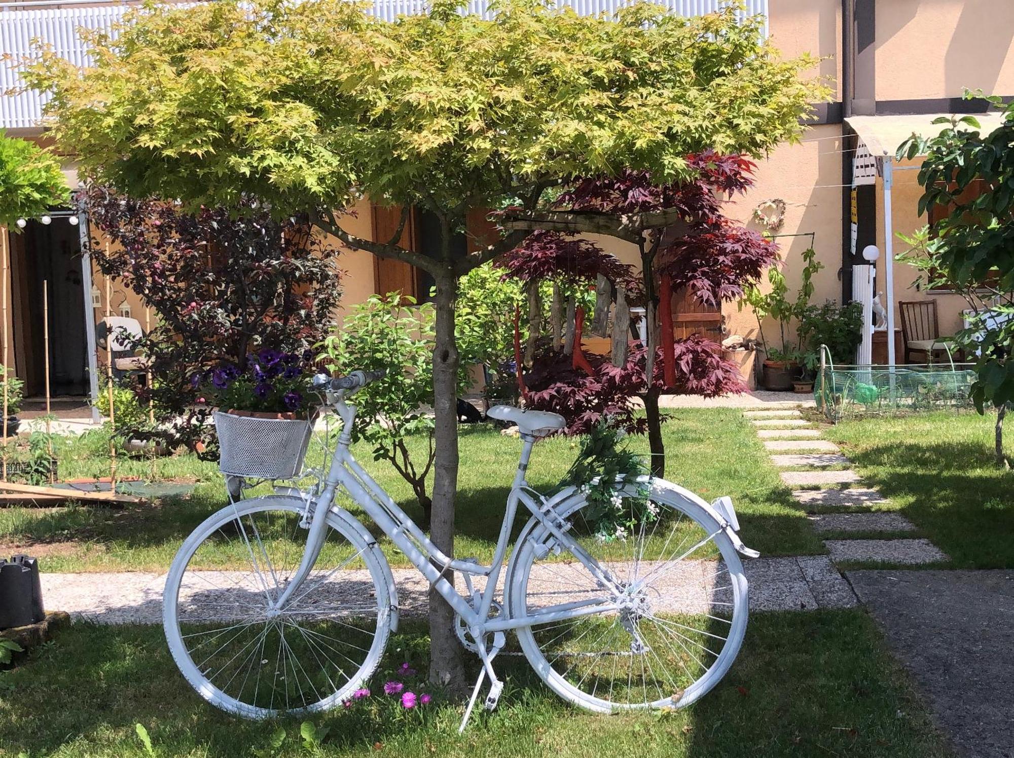 Bed and Breakfast Sensory Garden San Daniele del Friuli Zewnętrze zdjęcie